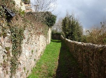 Percorso Marcia Nontron - La boucle du Puy - Photo