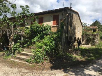 Randonnée Marche Caudiès-de-Fenouillèdes - Caudies de Fenouillet  /Castel fizel /chez Luc - Photo