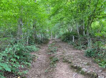 Tocht Stappen Érezée - Mormont Villers St Gertrude 22 km - Photo