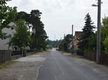 Excursión A pie Altdöbern - Rundwanderweg Alt Döbern - Photo