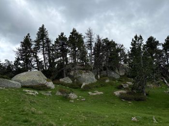 Tour Wandern Angoustrine-Villeneuve-des-Escaldes - Le Bones Hores - Refuge de Camporels - Photo