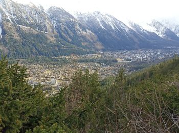 Trail Walking Chamonix-Mont-Blanc - aller/retour La Floria Chamonix  - Photo
