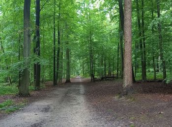 Trail Walking Watermael-Boitsfort - Watermaal-Bosvoorde - 2020.10.05.P - Photo