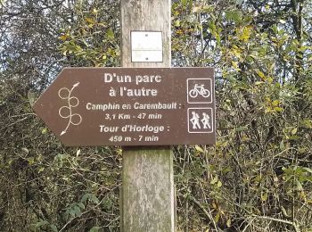 Trail Walking Carvin - Carvin Libercourt - Photo