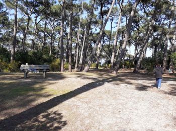 Tour Wandern Lège-Cap-Ferret - la pointe aux chevaux  - Photo