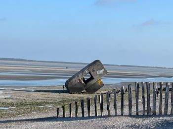 Randonnée Vélo Cayeux-sur-Mer - Baie de Somme - Cayeux-sur-Mer, Hourdel - Photo