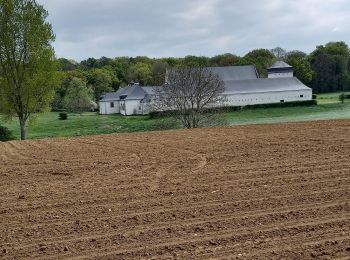 Randonnée Marche Beauvechain - L'Ecluse (Beauvechin) - Photo