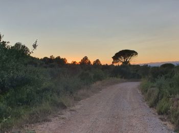 Randonnée Marche Torroella de Montgrí - Ermita de Santa Caterina - Photo