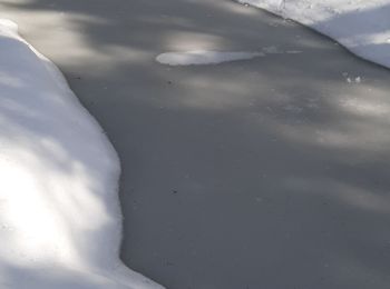 Tocht Sneeuwschoenen Morbier - Les Marais 20210321 - Photo