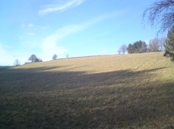 Tour Zu Fuß Gemeinde Wienerwald - Siegenfeld - Meierei Füllenberg - Photo