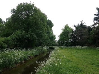 Randonnée A pied Riaillé - L'étang de la Provostière - Photo