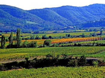 Randonnée Marche Valvignères - Valvignières 