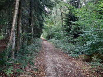 Trail Walking Caorches-Saint-Nicolas - Caorche St Nicokas - Photo