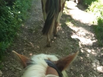 Trail Horseback riding Vaux-en-Bugey - rando Bugey j4 samedi - Photo