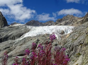 Randonnée Marche Vallouise-Pelvoux - 2020-09-07 Marche Ailefroide Glaciers Blanc et Noir - Photo
