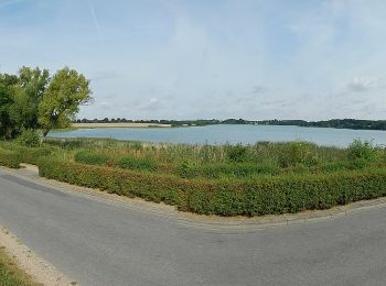 Tocht Te voet Scharbeutz - Scharbeutzer Heide lang - Photo