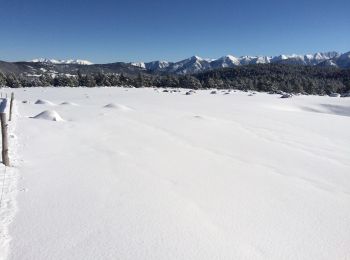 Excursión Raquetas de nieve Les Angles - Pla del mir lac d’aude bis  - Photo