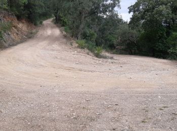 Tour Wandern Pierrefeu-du-Var - la portaniere - Photo