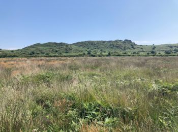 Excursión Senderismo Plounéour-Ménez - Roch Trévézel  - Photo