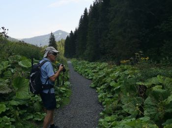 Tour Wandern Troistorrents - they - Photo