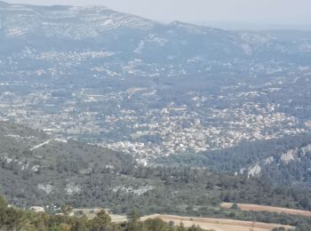 Trail Walking Ceyreste - le grand caunet par ceyreste - Photo