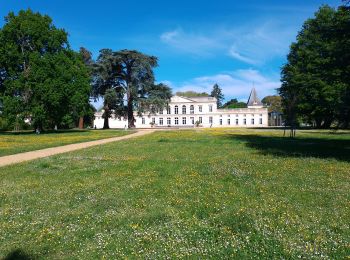 Tocht Stappen Gradignan - le mouleau - Photo