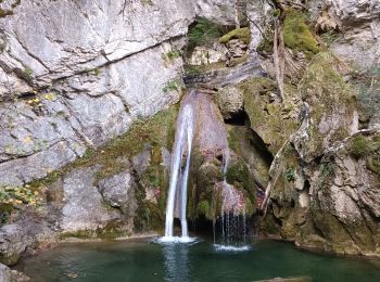 Excursión Senderismo Isaba - cascada de belabarce - Photo