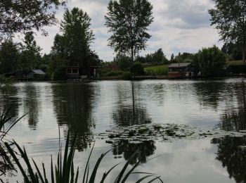 Tocht Stappen Bornem - Randonnée autour du lac de Bornem  - Photo