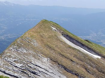 Percorso A piedi Belluno - IT-517 - Photo