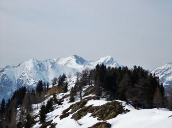 Randonnée A pied Pollone - Alta Via n. 1 della Valle d'Aosta - Tappa 3 - Photo