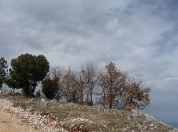 Percorso A piedi Gorga - Gorga-Croce di Sprone Maraoni - Photo