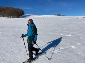 Trail Snowshoes Saint-Chély-d'Aubrac - Tourbière alte teste rodes  - Photo