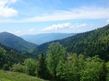 Trail Walking Arvière-en-Valromey - Chalet d'Arvières - Photo