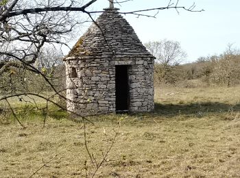 Tocht Stappen Corn - Mas de Fayssettes  - Photo