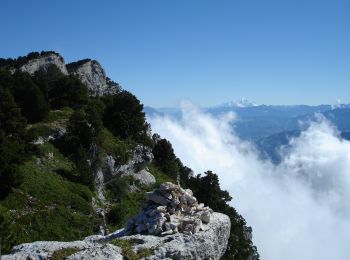 Randonnée Marche Plateau-des-Petites-Roches - Aulp du seuil  et Grand Manti - Photo