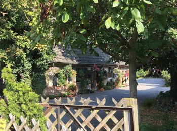 Percorso A piedi Möhrendorf - Wanderweg Nördlicher Möhrendorfer Rundweg - Photo