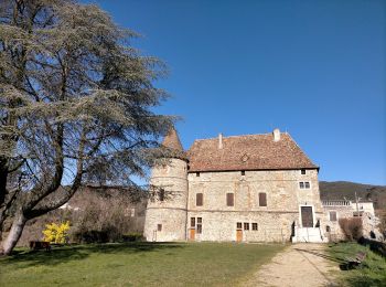 Excursión Senderismo Saint-Laurent-du-Pape - 07 Saint-Laurent-du-Pape château de Pierre Gourde - Photo