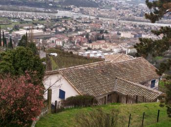 Tour Wandern Condrieu - condrieu - Photo