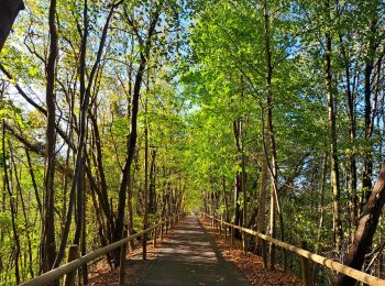 Randonnée Vélo Spa - Spa vers Trois-Ponts à vélo par le RAVeL  - Photo