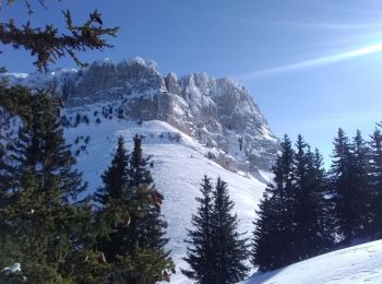 Tour Skiwanderen Saint-Pierre-d'Entremont - col de mauvernay  - Photo