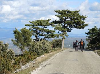 Trail Walking Bonnieux - PF-Bonnieux - De la Sanguinette à la Roque des Bancs - Photo