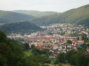 Randonnée A pied Eberbach - Rundwanderweg Wimmersbacher Steige 1: Bocksberg-Weg - Photo