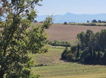 Tocht Stappen Muret - Muret - table orientation st amans - Estantes - Photo