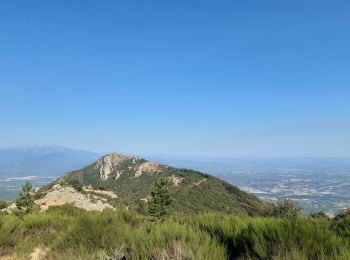 Trail Walking Laroque-des-Albères - 22 08 / 8-9-10  Oli40 épisode 3 vom ullat - Laroque des Alberes  - Photo