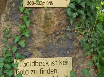 Randonnée A pied Rinteln - RI19 Rundwanderweg Goldbeck - Photo