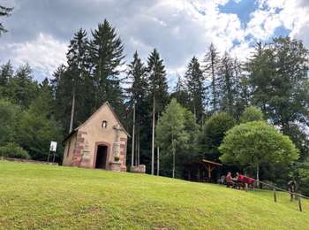 Tocht Paardrijden Soucht - La pierre des 12 apÃ´tres  - Photo