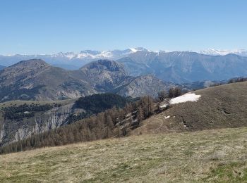 Trail Walking La Robine-sur-Galabre - ainac geruen 1024m 17kms - Photo