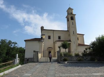 Tour Zu Fuß Mezzomerico - Sentiero Novara tappa 12 - Photo