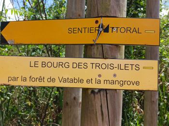 Tour Wandern Les Trois-Îlets - Boucle via Constant et Fond Mulâtre  - Photo