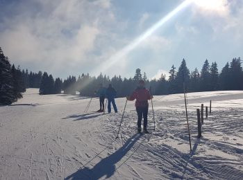 Trail Cross-country skiing Mijoux - petite grand - Photo
